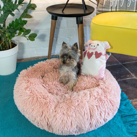 Pink Fluffy Calming Donut Pet Bed with Toy