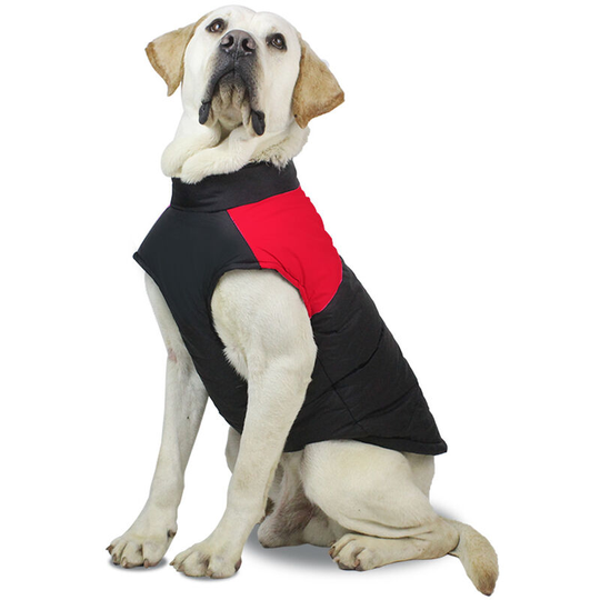 Winter Waterproof Dog Coat with D-Ring Leash Pet Dog Vest Puppy Clothes Jacket Harness Dog Coat for Small Medium Large Dog Cat (m, Red)