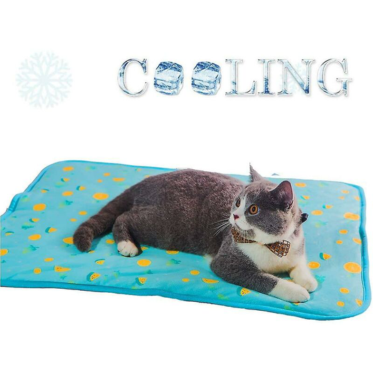 Ice Pad, Ice Silk Cats/dog Kennel Mat, Pet Cooling Pad Summer Cool Bamboo Mat Breathable Pad(s)-L Thsinde