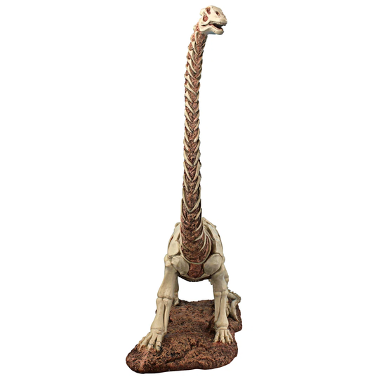 Bad to the Bone Jurassic Brachiosaurus Dinosaur Statue