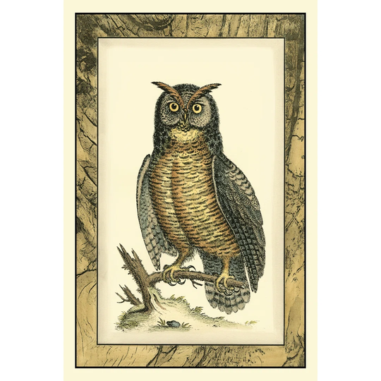 Majestic Perch II by Vision Studio - Wrapped Canvas Art Prints