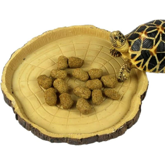 Small Reptile Bowl - Bowl, Water Bowl, Food Bowl for Reptiles, Geckos, Turtles, Snakes - Terraristic Accessories (Strain)