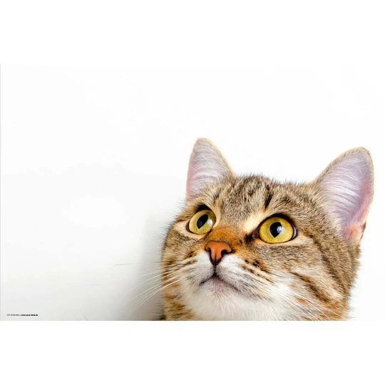 Cat Look Desk Pad