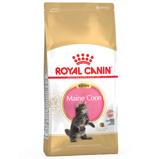 Royal Canin Maine Coon Kitten - 4kg