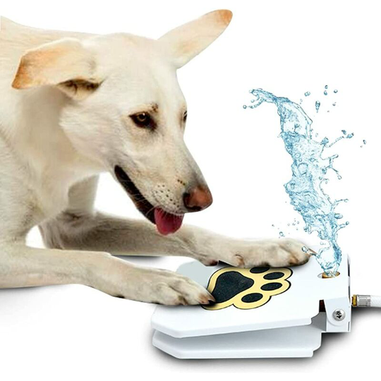dog water fountain