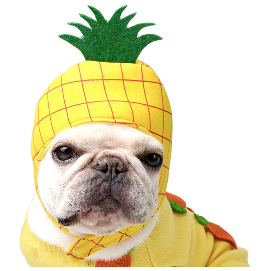 Stock display pet easter costume dog cat cute novelty pineapple hat headdress with stickers dog cat funny pineapple chicken costume hat pet soft head