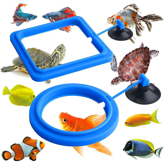 BR-Vie Set of 2 Feeding Rings for Fish, Turtles and Fish - Aquarium Accessories - Feeding Circle for Guppy, Betta, Goldfish, Turtle