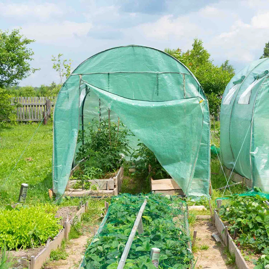 Tiedeman 13 Ft W x 6.2 Ft D Greenhouse