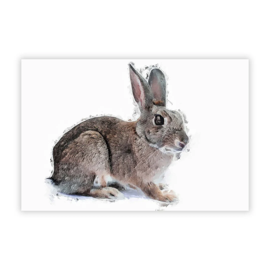 'Brown Bunny Rabbit' - Painting Print on Paper