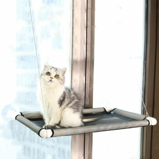 Bearsu - Window Mounted Cat Bed Hammock Black 55*35 cm Coxolo