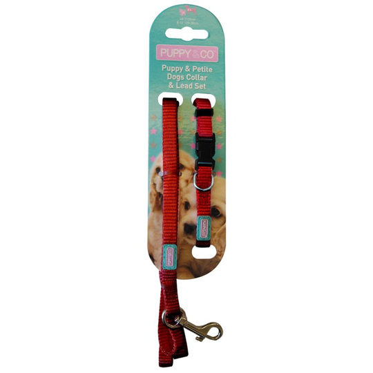 Pup & Co Nylon Puppy Set Red 10mm X20-30cm (120cm)