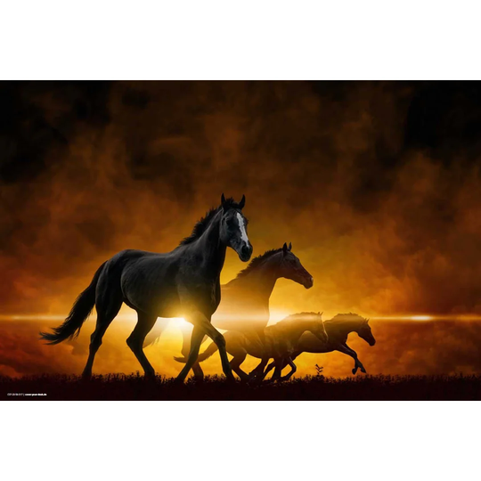 Horses at Sunrise Desk Pad