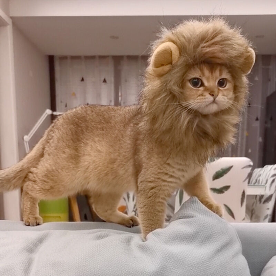 Cute Lion Costume Lion Mane with Ears for Cats Small Dogs or Puppy Halloween Party Festival Size Fits Pets with Neck 26-30cm