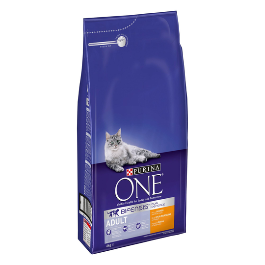 Purina ONE Adult Chicken & Whole Grains Dry Cat Food - Economy Pack: 2 x 6kg