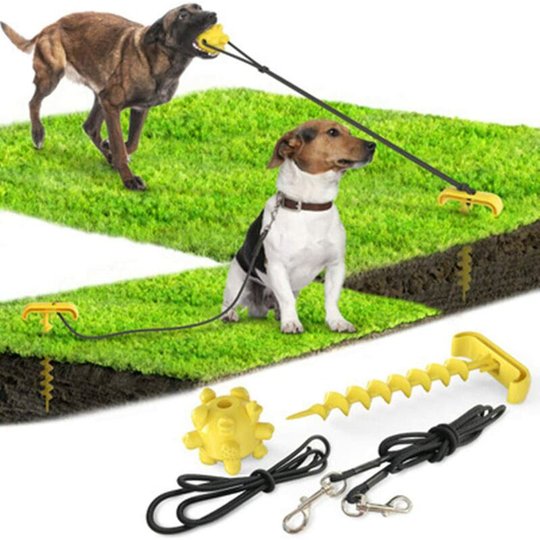Dog Peg in the Ground, Dog Wire and Peg, Heavy Duty Spiral Shaped Dog Leash with Dog Play Ball (Yellow)
