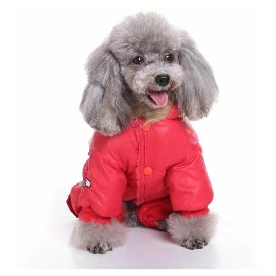 Perle Raregb - Dog Clothing Dog Clothing Jacket Clothes Uniforms of the Air Force Clothing Four-legged Clothing Four-legged Clothes Clothing Pet