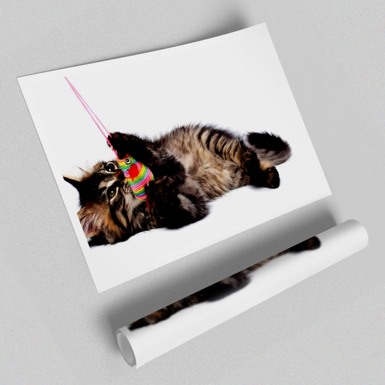 Kitten Play - Graphic Art Print on Paper