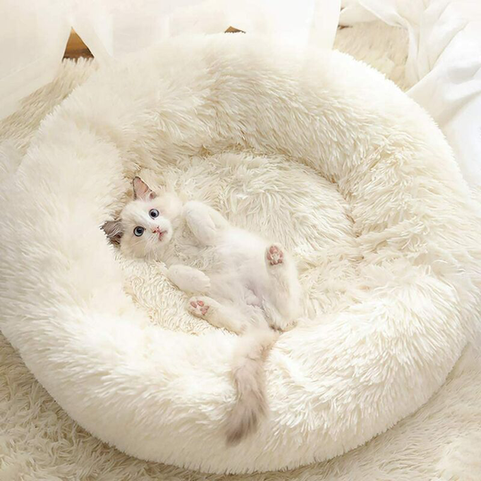 Indoor Cat Bed, Washable Donut for Cat and Dog, Soft Plush Pet Cushion, Waterproof and Fluffy Bottom for Dog and Cat, Self-Heating Bed, Off-White, M