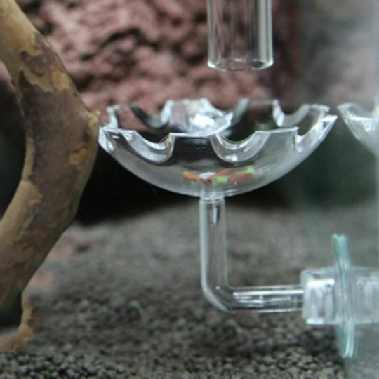 Joorrt - 1PCS Glass Shrimp Feeding Dish Bowl Round Food Feeder Bowl for Aquarium Fish Tanks Reptiles Home Kitchen with Suction Cup