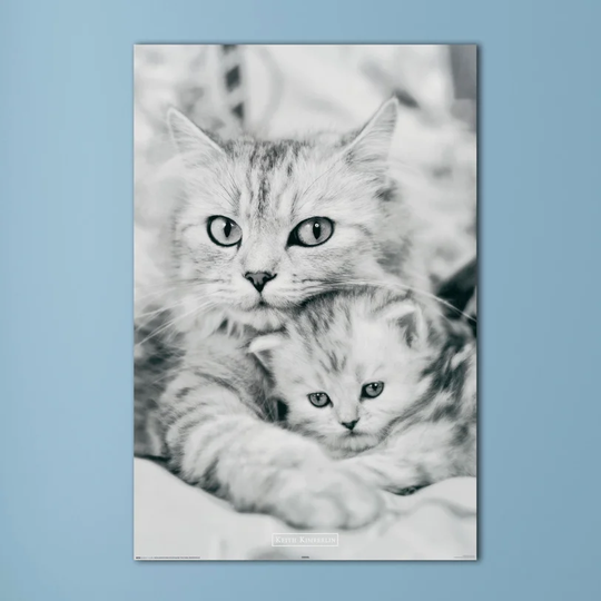Cat and Kitten' by Kimberlin Photographic Print on Wood
