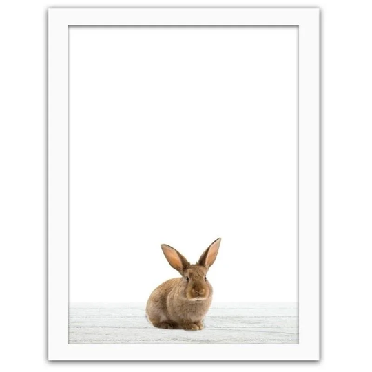 The Rabbit - Picture Frame Photograph Print on Paper