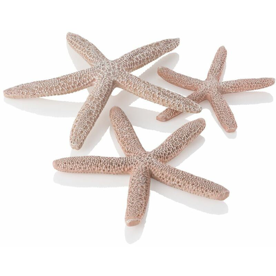 Starfish Set, Natural - Biorb