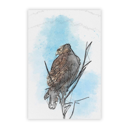 'Hawk Perched in a Tree' - Unframed Graphic Art Print on Paper