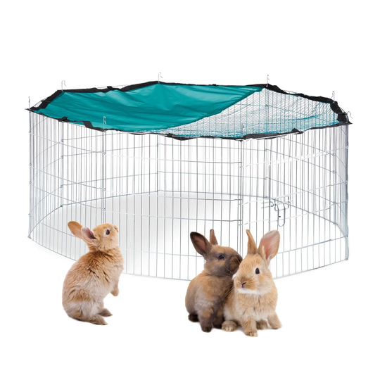 Elizabeth Cage/Animal Run