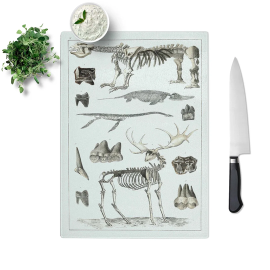 Tempered Glass Animal Bones IV Chopping Board