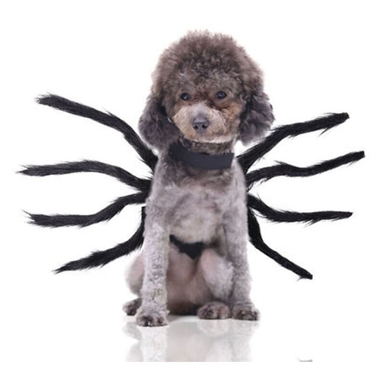 Halloween spider dog costume, pet costume, spider cat cosplay and dog cosplay costume Halloween Christmas party dress up
