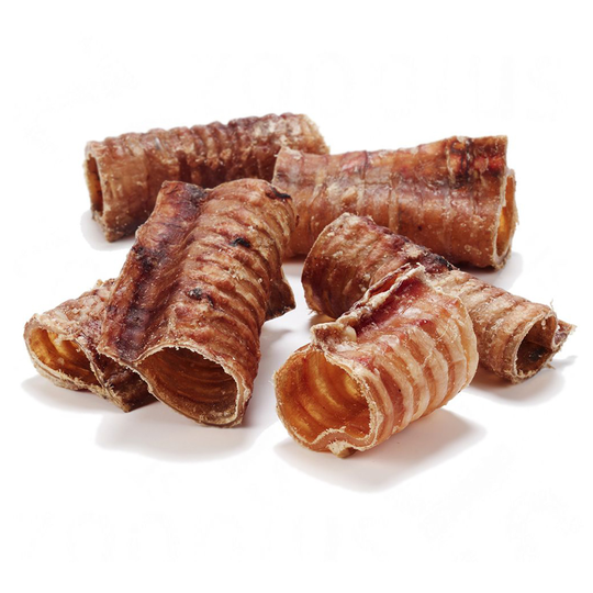 Dibo Premium Beef Gullet - 250g