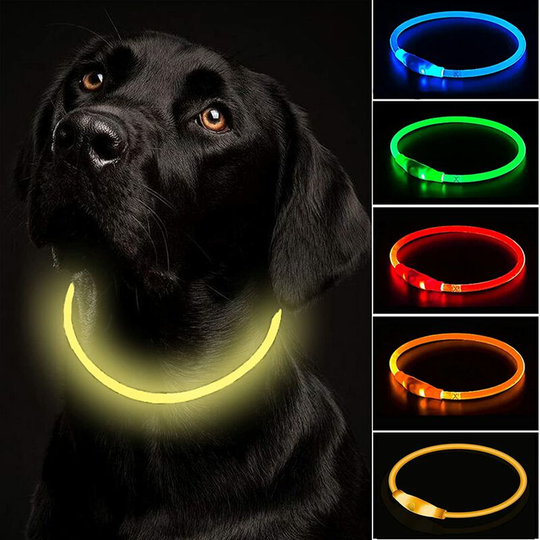Light Up Dog Collar usb Rechargeable Flashing Collar Adjustable Length, Cuttable Waterproof Flashing Collar for Dogs - 3 Modes, for Small Medium