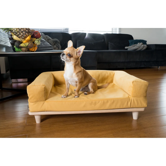 Dundas Dog Sofa