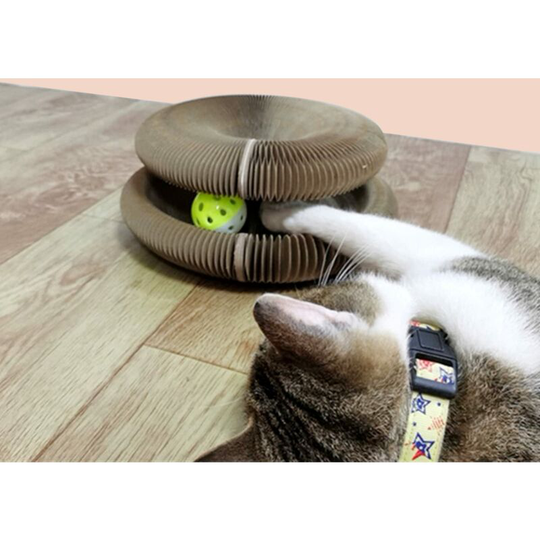 Cat Toy Ball Magic Organ Cat Scratch Board with Bell Ball