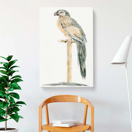 Perched Parrot by Johan Teyler - Wrapped Canvas Art Print
