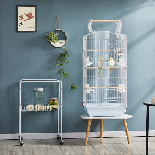 64"H Open Top Metal Bird Cage