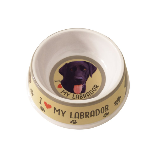 Black Labrador Dog Bowl