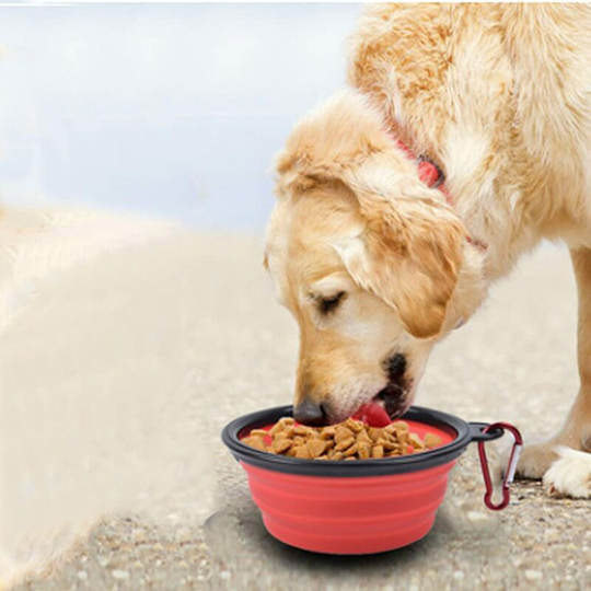2 Pieces, Folding Dog Bowl, Travel Bowls for Dog and Cat, Portable Dog Water or Food Bowl, for Medium to Large Dogs, Dog and Cat Bowls (1000ml, Red