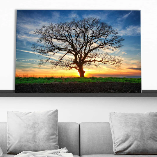 Lonely Tree in a Field 1 - Wrapped Canvas Photograph Print