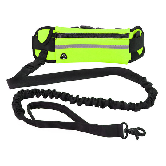 Pet leash, belt bag leash green - Muff