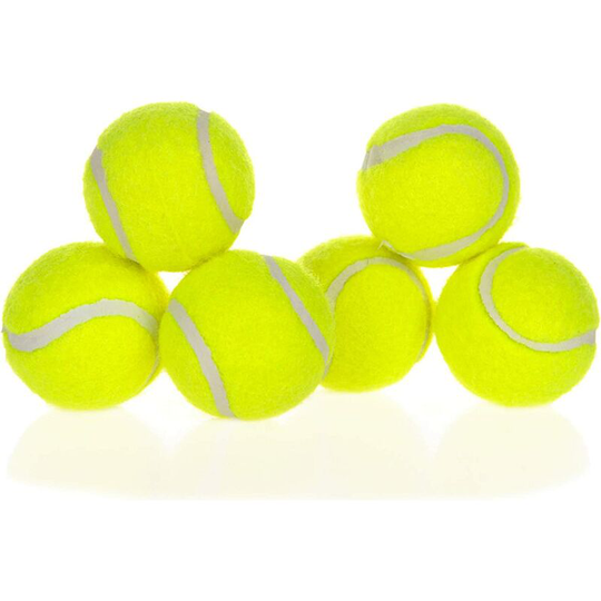 6 Pack Tennis Ball for Dog Pet Sport Ball Medium 2.5 Inch Dog Ball Toys for Exercise and Training Safe for Teeth