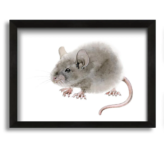 Cute Little Mouse - Picture Frame Graphic Art on Canvas