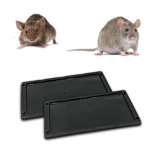 Sun Flowergb - Mouse Trap Glue Rat Trap, Anti Rodent Glue Plates, Rat Killer, Alternative Rat Killer Mouse Killer, Anti Rat Mouse [Extra Strong