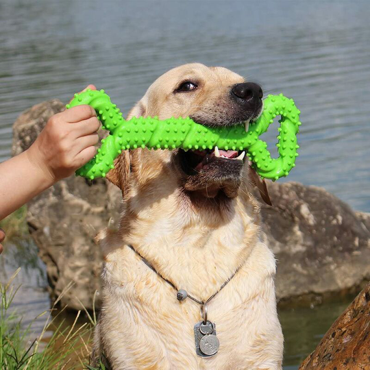 Devenirriche - Dog Chew Toys Resistant Rubber 13 Inch Bone Dog Shaped Puppies Toy with Convex Design Solid Interactive Dog Toy for Aggressive Chewers