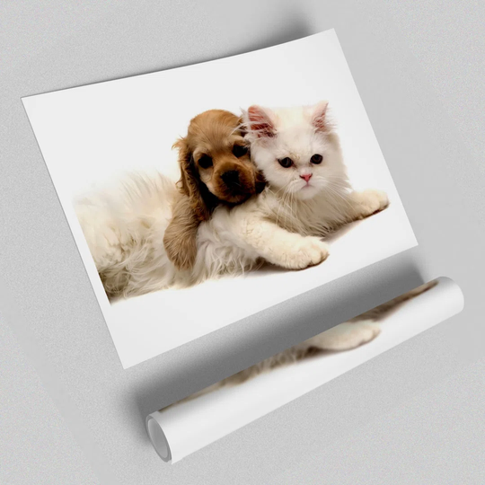 Puppy and Kitten Love - Photograph Print on Paper