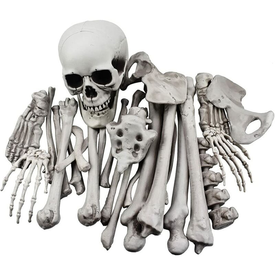 19 Skeleton bones and skull for halloween decoration or spooky graveyard decoration - Deckon