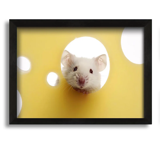 Cheesy Mouse - Picture Frame Photograph on Canvas