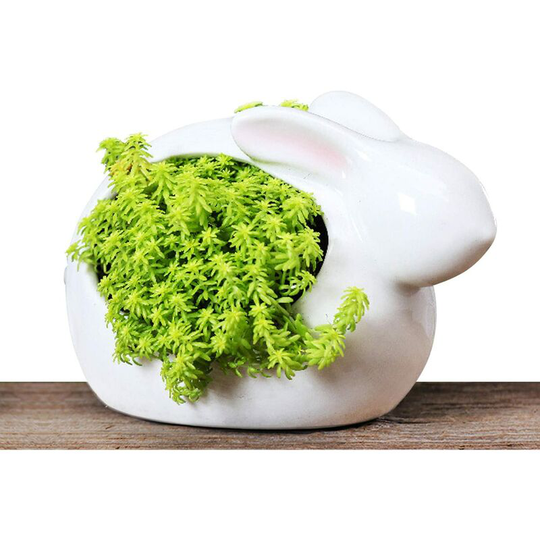 Cute Rabbit Succulent Planter Pot White Ceramic Cactus Flowerpot, Desktop Bonsai Holder for Home Decor - Langray