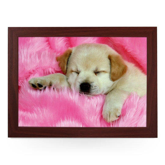 Cute Labrador Puppy Sleeping Serving Tray