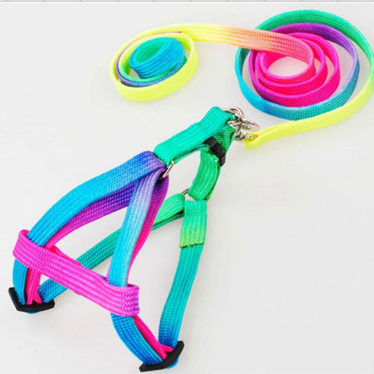 Adjustable Rainbow Cat Collar Small Rabbit Band Leash Pet Leash Belt Harness